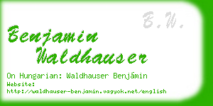 benjamin waldhauser business card